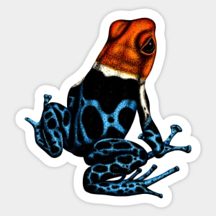 Red-headed poison dart frog Sticker